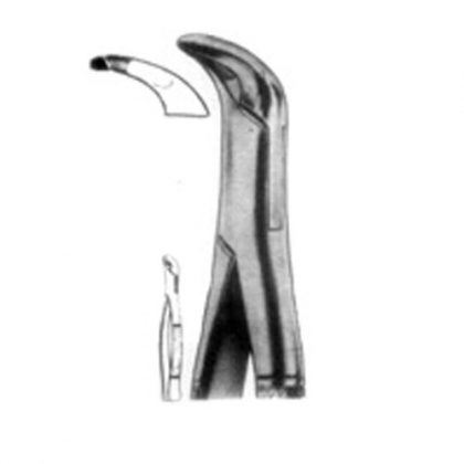  AMERICAN EXTRACTING FORCEPS