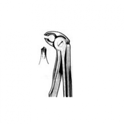 FITTING HANDLES TOOTH EXTRACTING FORCEPS